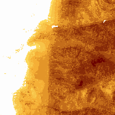 Export Image