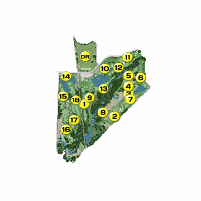 Export Image